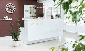 montenegro budva primorje turisticka-organizacija more