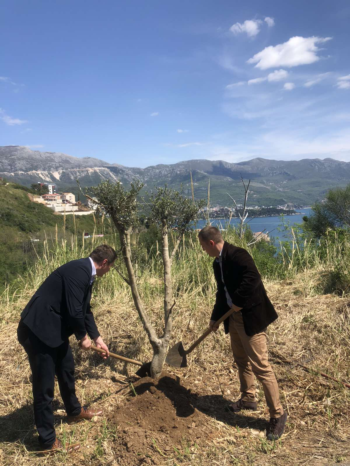 budva-beach budva-sea budva-tourist-organization budva-registration-fee budva-events