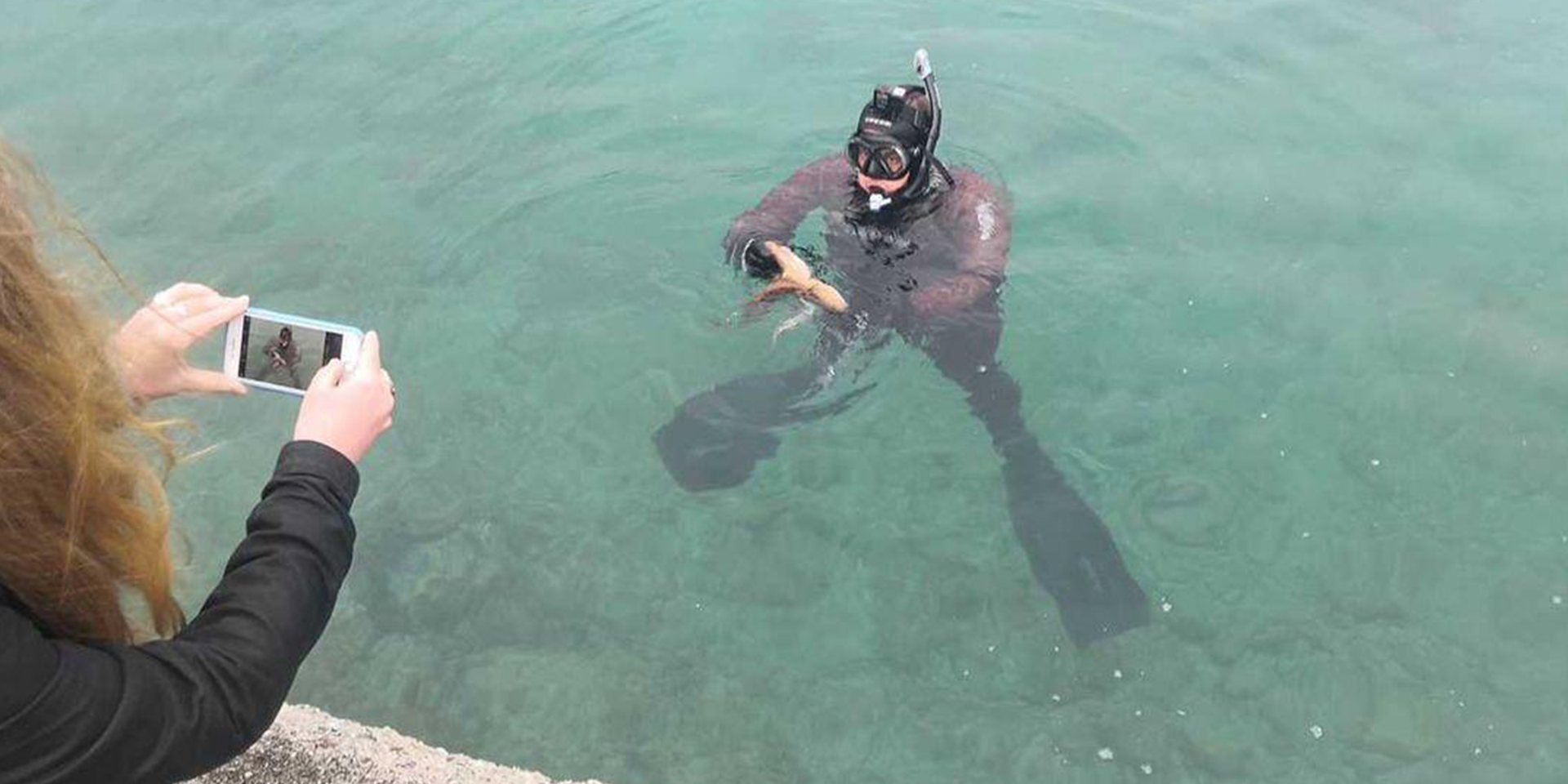 budva-hotels budva-marina budva-tourist-organization budva-beach budva-food