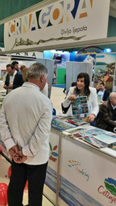 budva-weather budva-restaurants adriatic-sea budva-nightlife budva