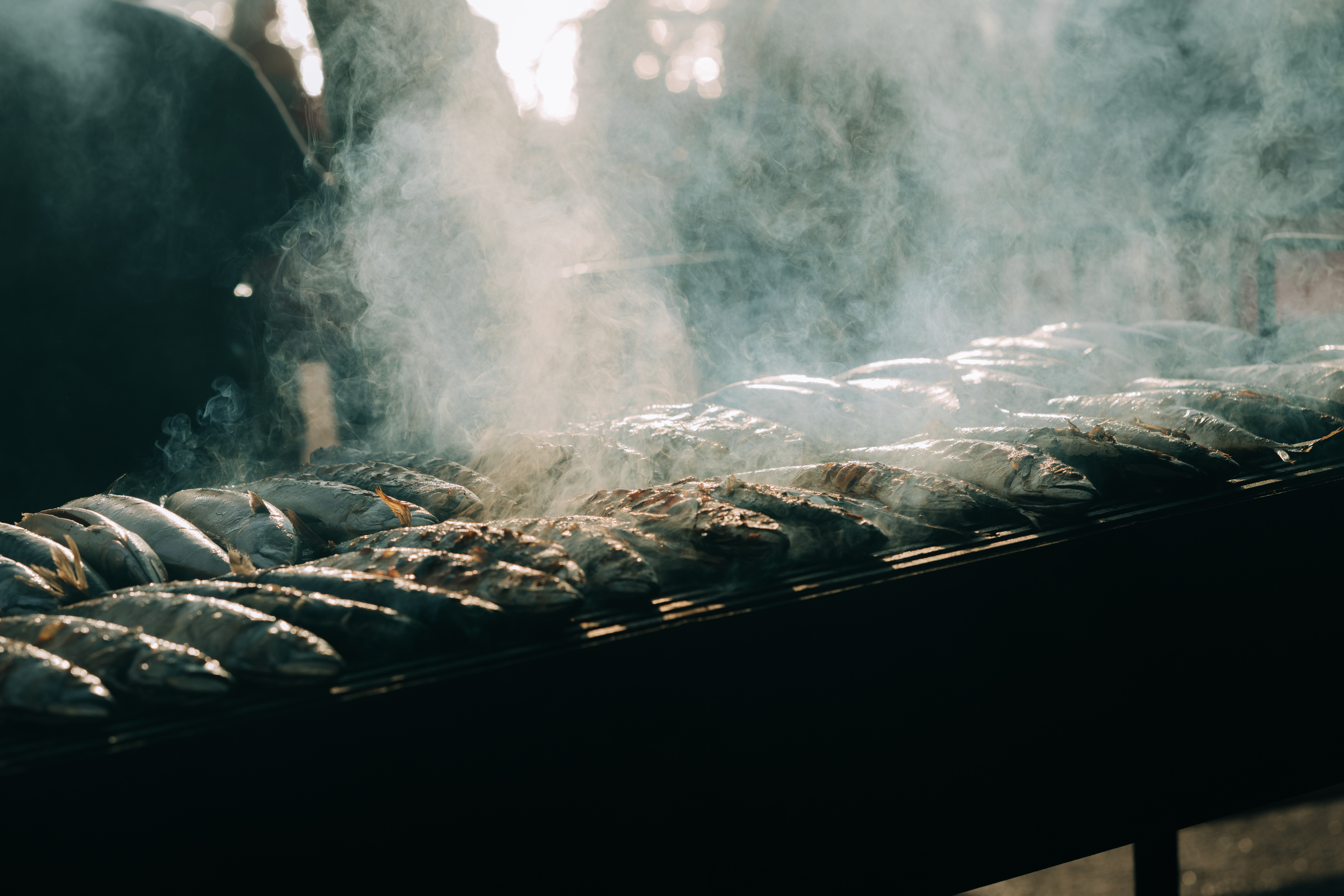 budva-registration-fee budva-nightlife budva-events budva-sea budva-weather