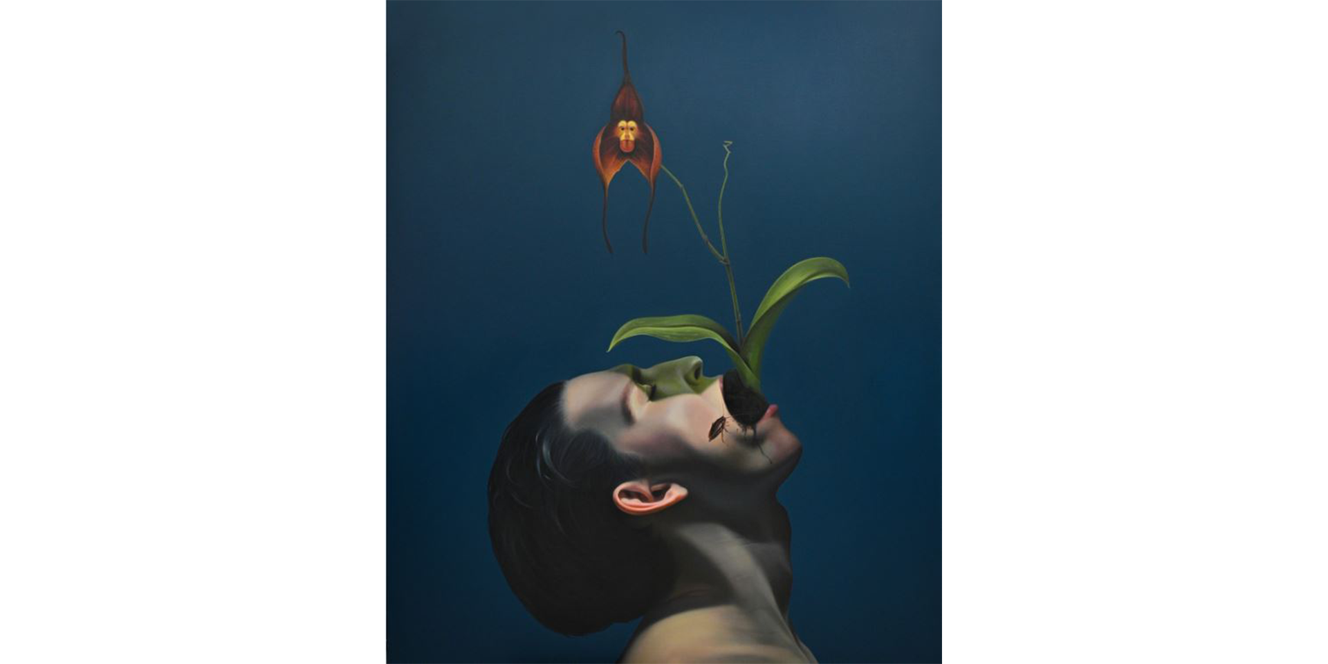 budva-beach-bar budva-hotels budva-hostels budva-Montenegro budva-food