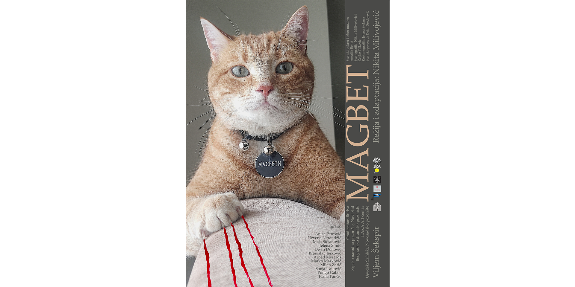 budva-registration-fee budva-hotels budva budva-beach-bar beach