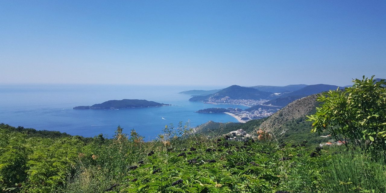 budva-caffes budva-registration-fee budva-nightlife budva-tourist-organization budva-apartments