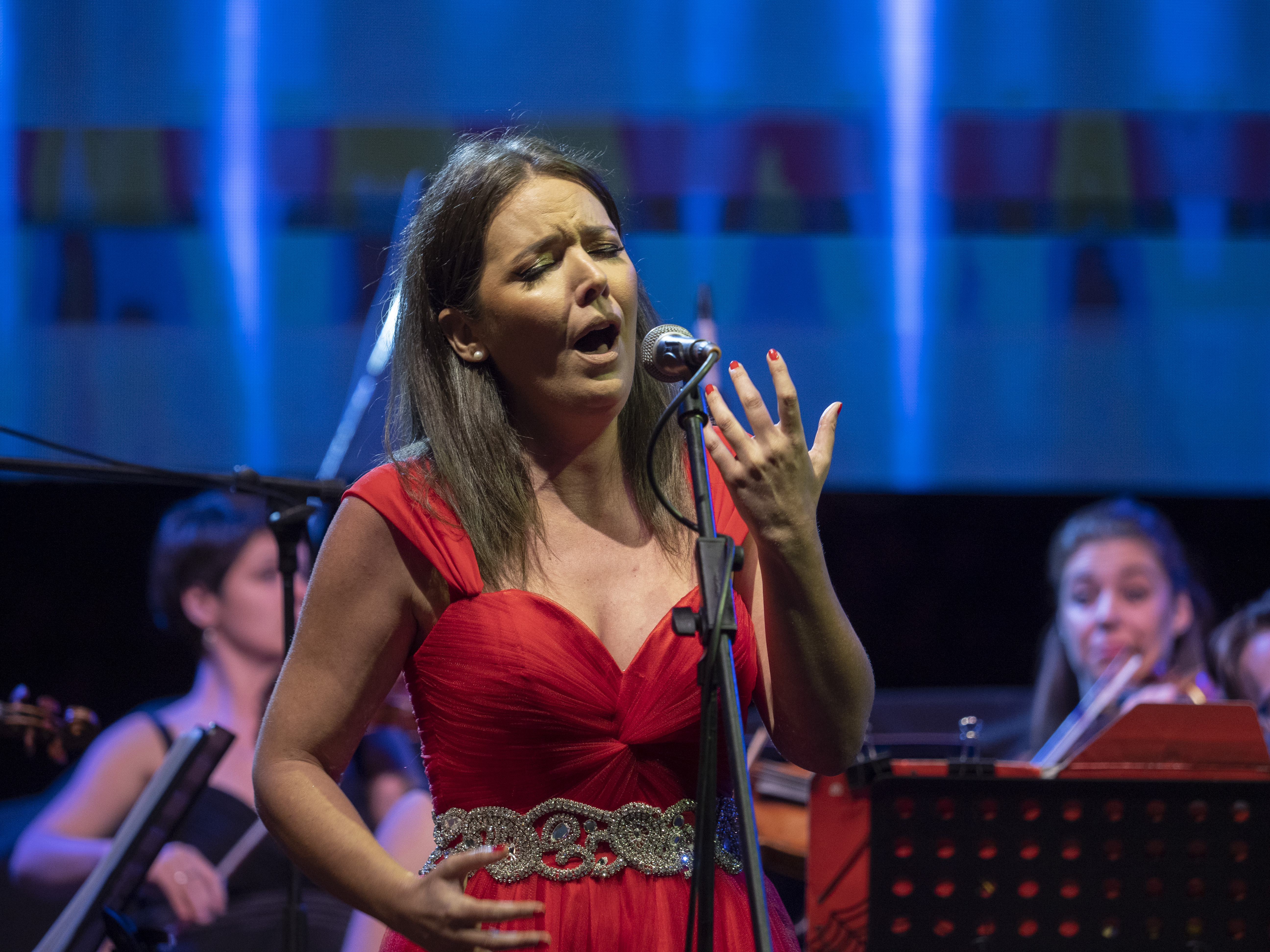 budva-caffes budva-hotels budva-registration-fee budva budva-nightlife